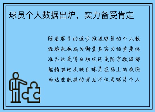 球员个人数据出炉，实力备受肯定