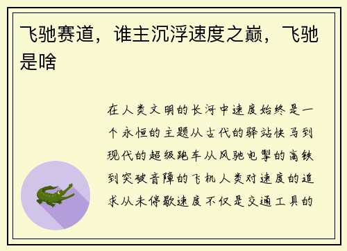 飞驰赛道，谁主沉浮速度之巅，飞驰是啥