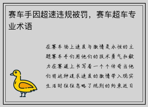 赛车手因超速违规被罚，赛车超车专业术语